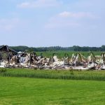 Duizenden kippen ontkomen de stalbrand maar niet de slacht.
